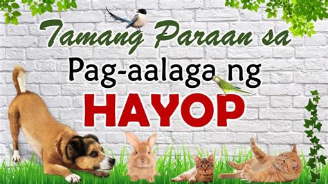 slogan tungkol sa pag aalaga ng hayop|Alagang hayop malaking pakinabang sa pandemya .